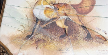 Second thumbnail photo by Mark Kopchak of Northern Elite Van Lines