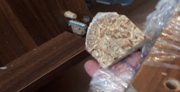 Thumbnail photo by Saman Naghieh of Alliance Van Lines inc.