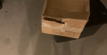 Second thumbnail photo by Stephanie Schroder of S & M Relo LLC