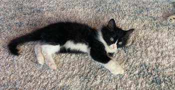 Thumbnail photo by Sarah Hardman of Priceline Logistics LLC