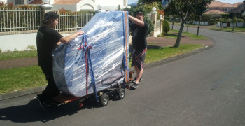 Thumbnail photo by Tony Guy of Easy Movers NZ