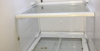 Thumbnail photo by Julie Philp of Fox Home and Office Removalists Perth