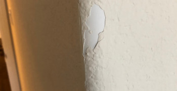 Second thumbnail photo by Roxanne Crone of Best Interstate Moving and Storage