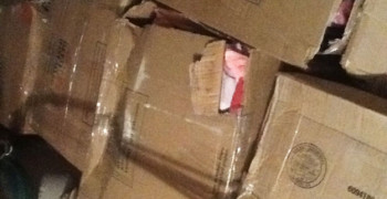 Thumbnail photo by Annette of Alpha & Omega Moving and Storage