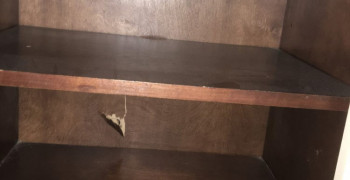 Thumbnail photo by Rose Chipman of Excalibur Moving Group