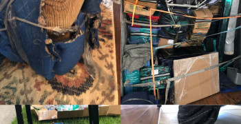 Thumbnail photo by Gerald Hall of Purple Heart Moving Group