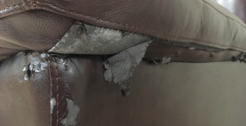 Thumbnail photo by Michael Franco of Eagle Moving Group Inc