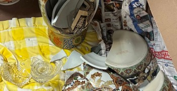 Thumbnail photo by Sam U of Safeway Moving Systems