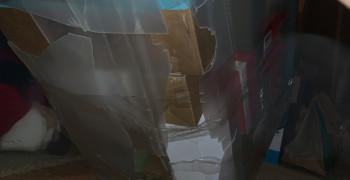 Thumbnail photo by Jenna Allen of Jackson Movers