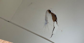 Second thumbnail photo by Jennifer Marko of Carefree Movers Inc