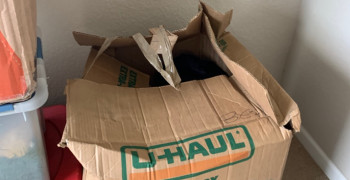 Thumbnail photo by Carmen Ryan of Gold Standard Moving and Storage LLC