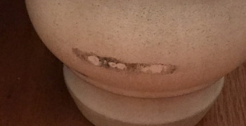 Thumbnail photo by Lisa Hicks of Two Men and a Truck