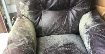 Thumbnail photo by Phillip Webb of International Van Lines