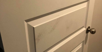 Thumbnail photo by Lindey Kvinge of Safe Ship Moving Services