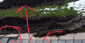 Thumbnail photo by Wilma Shastry of Canadian Moving Systems