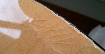 Thumbnail photo by Tim of Elite Moving & Storage Inc
