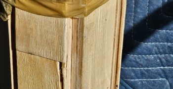 Second thumbnail photo by Aj Chauradia of America First Moving