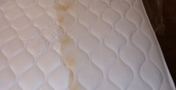 Second thumbnail photo by Deanna Goulette of Blue Diamond Movers LLC