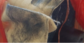 Second thumbnail photo by Walter Linden of U Pack