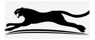 Cita Van Lines Inc Logo