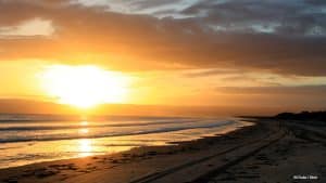 Things to consider when moving to the beach