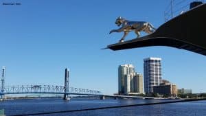 Jacksonville Relocation Guide