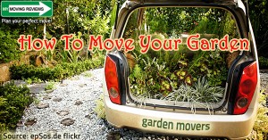 Move your garden plants and accessories to your new home.