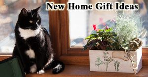How to find the erfect new home gift.