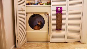 How to move a washing machine by yourself