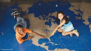 Orlando, FL Moving Guide