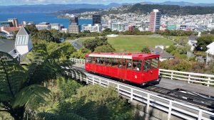 Moving to Wellington will allow you to build a happier life for yourself and your family.