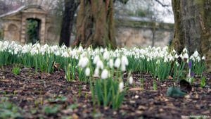 Tips for moving in spring