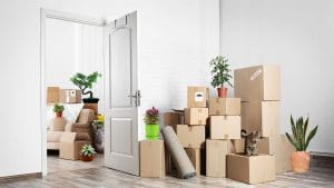 Knowing how to pack plants for moving correctly will help you ensure that your leafy friends survive the relocation.